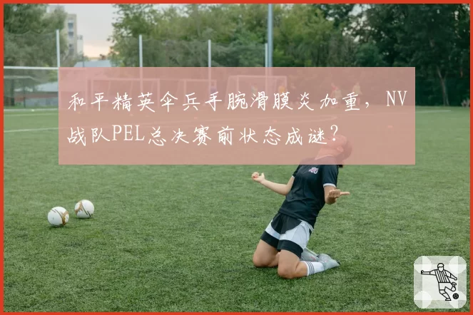和平精英伞兵手腕滑膜炎加重,NV战队PEL总决赛前状态成谜?